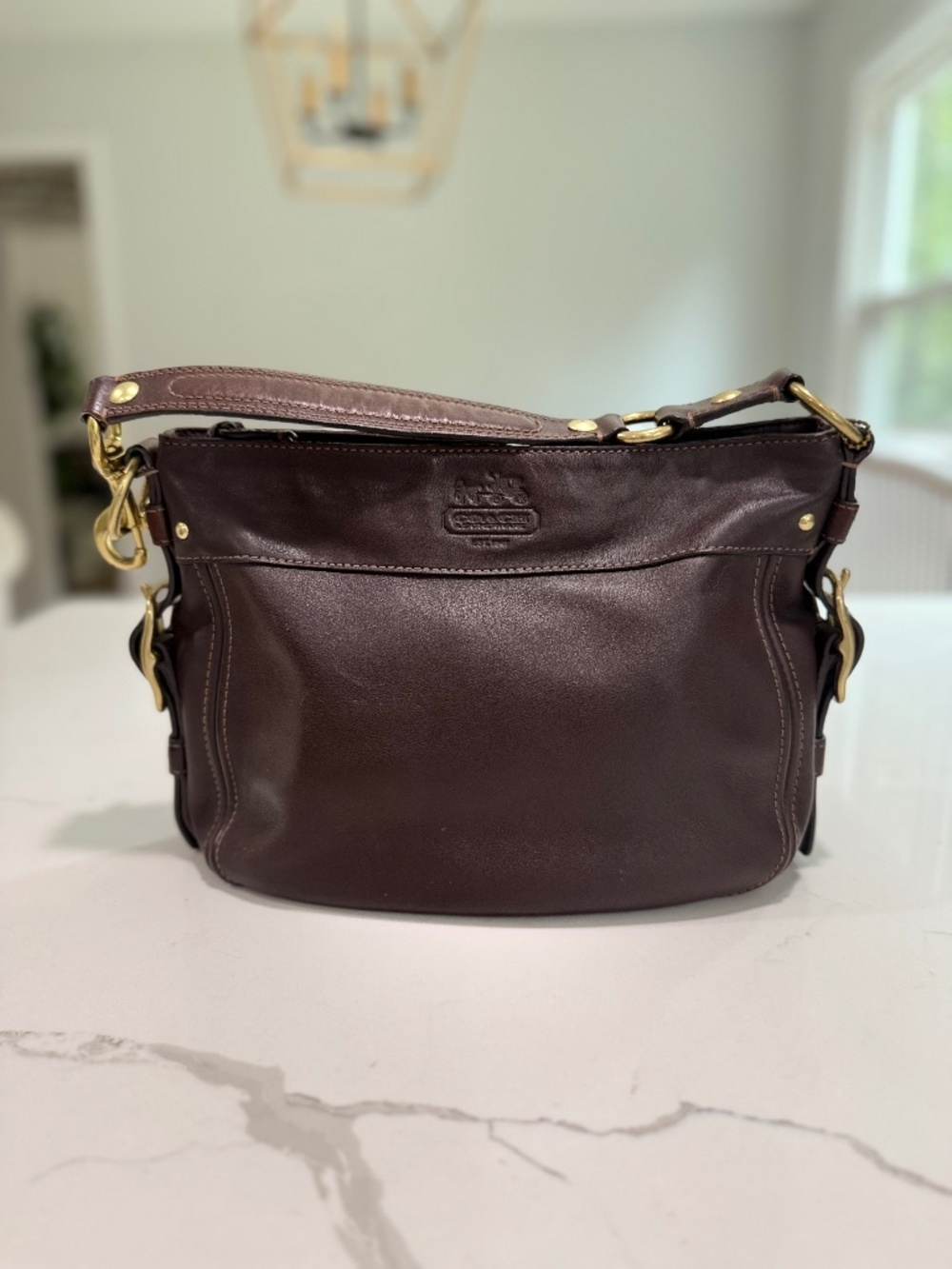 Coach Zoe Hobo Bag